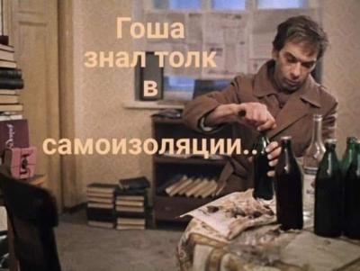 Прикрепленное изображение: Гоша и самоизоляция.jpg